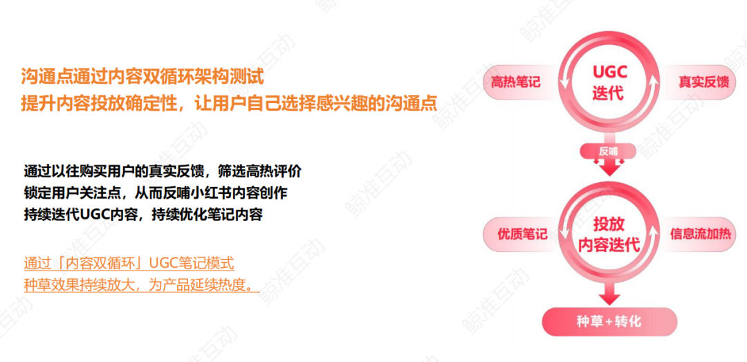 内容双循环：小红书笔记火的秘密解析